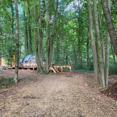 Le Dome De Namur - Une Nuit Insolite Dans Les Bois Dış mekan fotoğraf