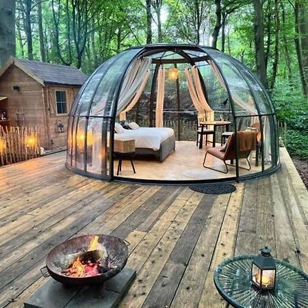 Le Dome De Namur - Une Nuit Insolite Dans Les Bois Dış mekan fotoğraf