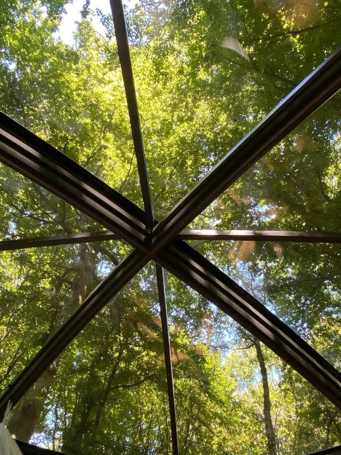 Le Dome De Namur - Une Nuit Insolite Dans Les Bois Dış mekan fotoğraf