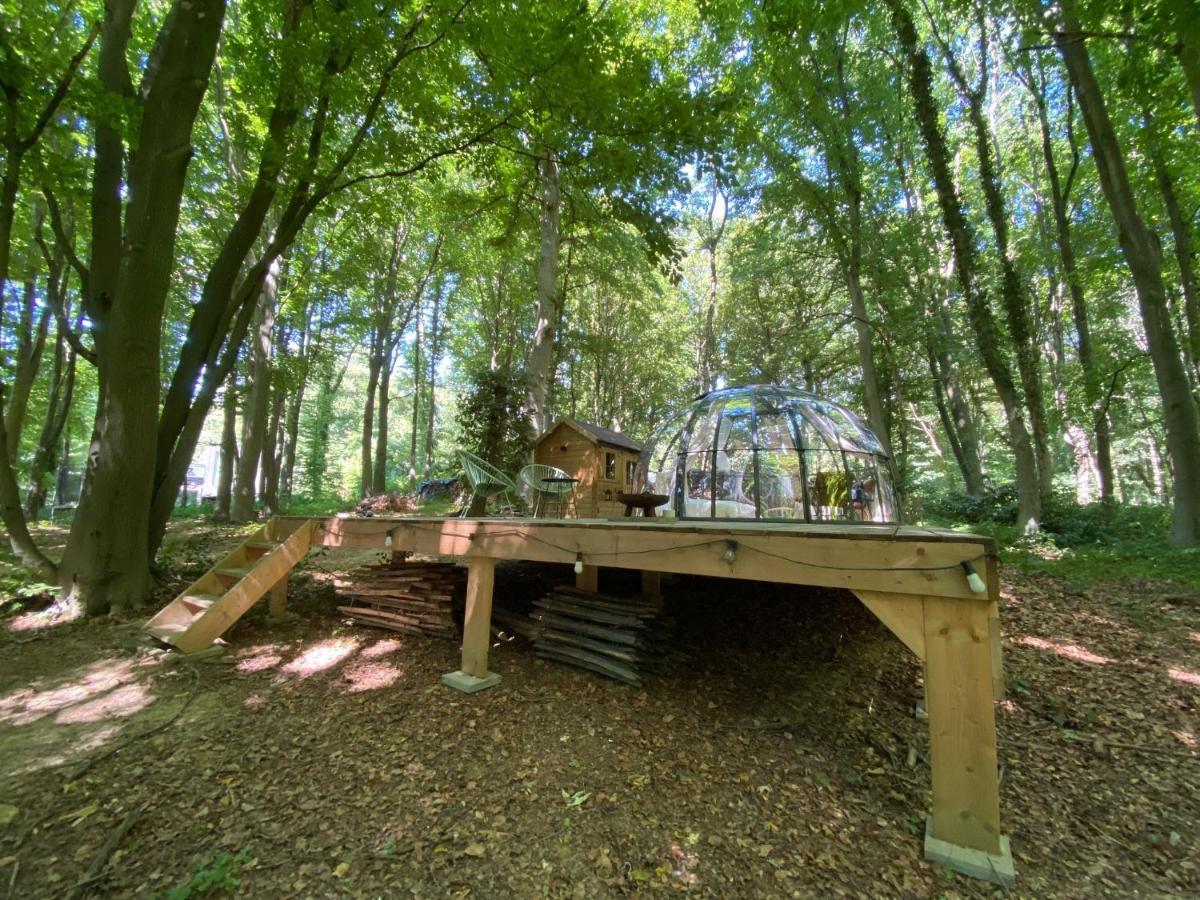 Le Dome De Namur - Une Nuit Insolite Dans Les Bois Dış mekan fotoğraf