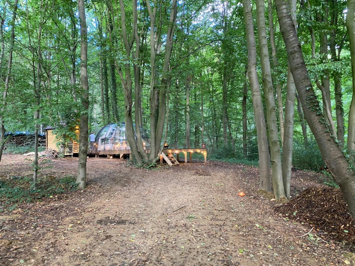 Le Dome De Namur - Une Nuit Insolite Dans Les Bois Dış mekan fotoğraf