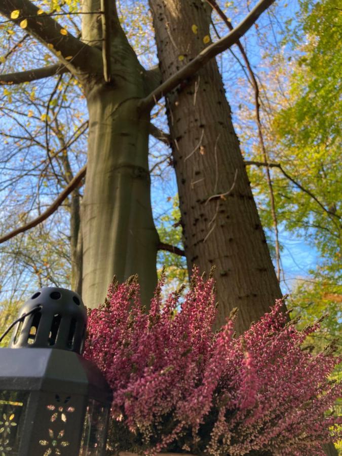 Le Dome De Namur - Une Nuit Insolite Dans Les Bois Dış mekan fotoğraf
