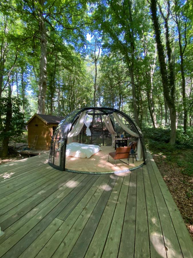 Le Dome De Namur - Une Nuit Insolite Dans Les Bois Dış mekan fotoğraf