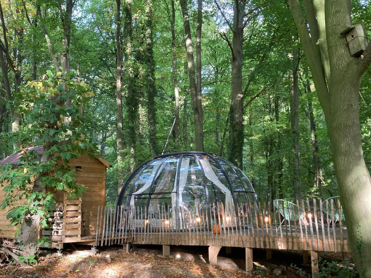 Le Dome De Namur - Une Nuit Insolite Dans Les Bois Dış mekan fotoğraf