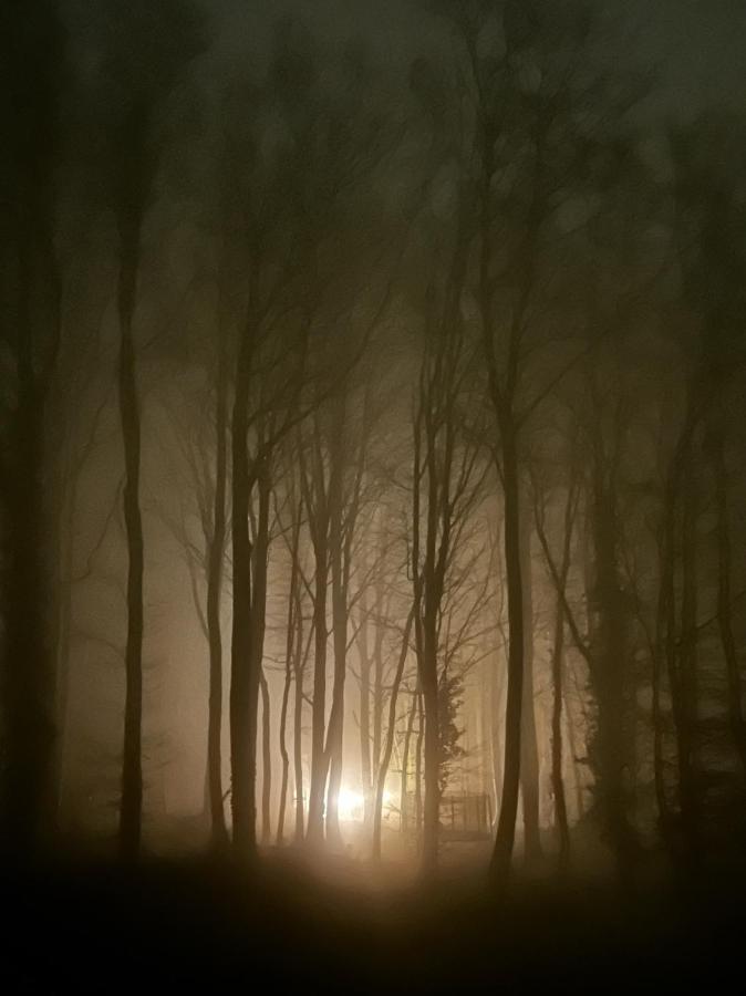 Le Dome De Namur - Une Nuit Insolite Dans Les Bois Dış mekan fotoğraf