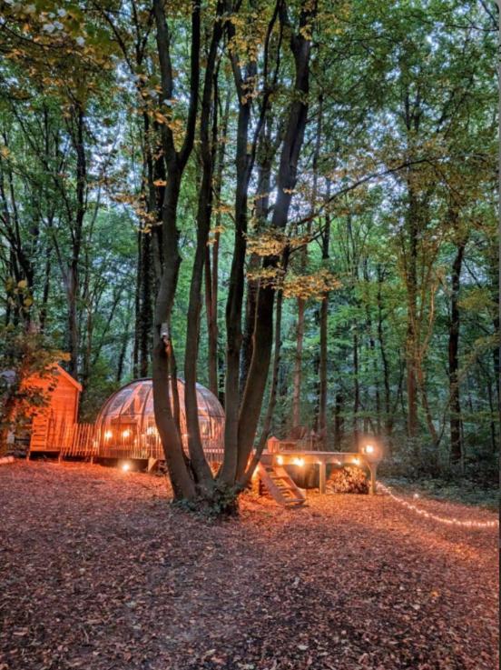 Le Dome De Namur - Une Nuit Insolite Dans Les Bois Dış mekan fotoğraf