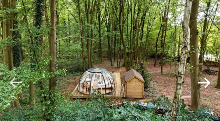 Le Dome De Namur - Une Nuit Insolite Dans Les Bois Dış mekan fotoğraf