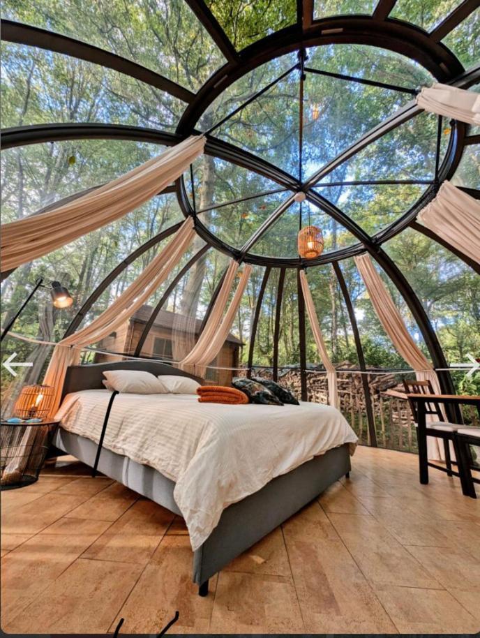 Le Dome De Namur - Une Nuit Insolite Dans Les Bois Dış mekan fotoğraf