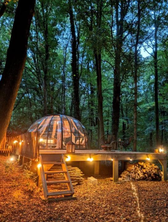 Le Dome De Namur - Une Nuit Insolite Dans Les Bois Dış mekan fotoğraf