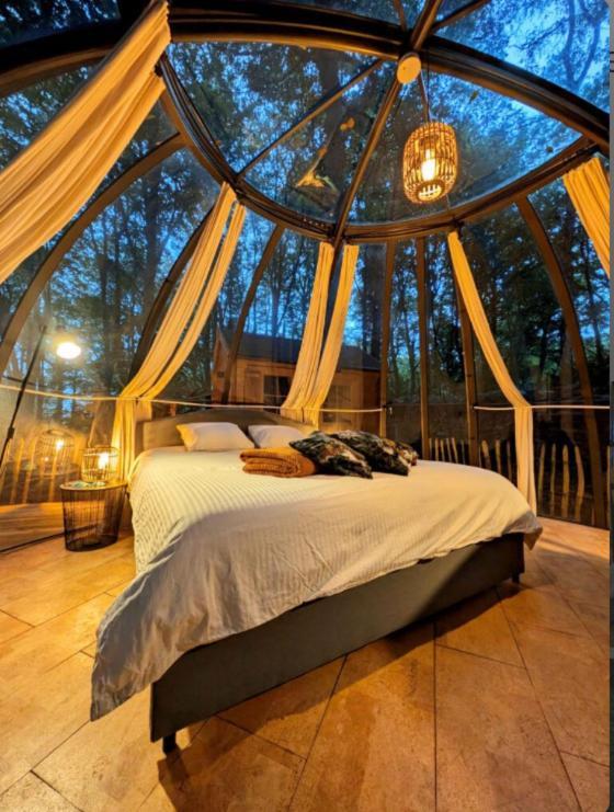 Le Dome De Namur - Une Nuit Insolite Dans Les Bois Dış mekan fotoğraf