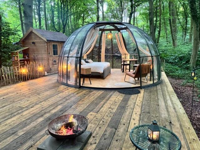 Le Dome De Namur - Une Nuit Insolite Dans Les Bois Dış mekan fotoğraf